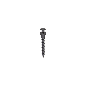 IMF Screw
