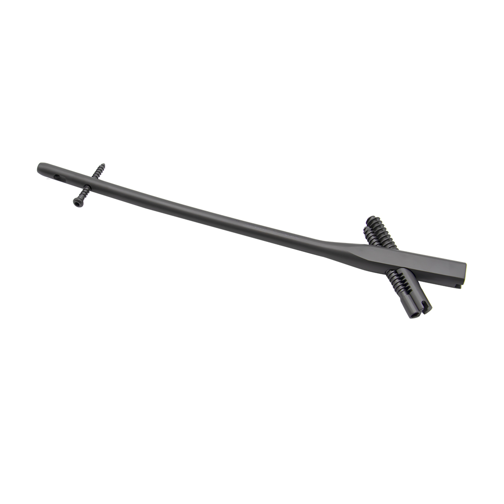 TriGen InterTAN Nail