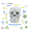 Maxillofacial Plate 1.5MM Self-drilling Screw