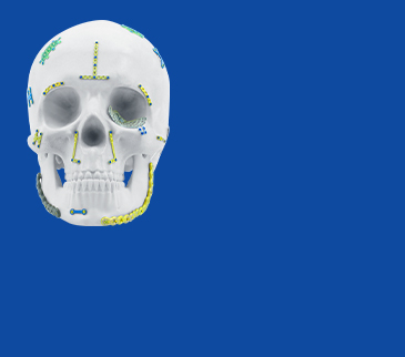 Sistem Pelapisan Maxillofacial