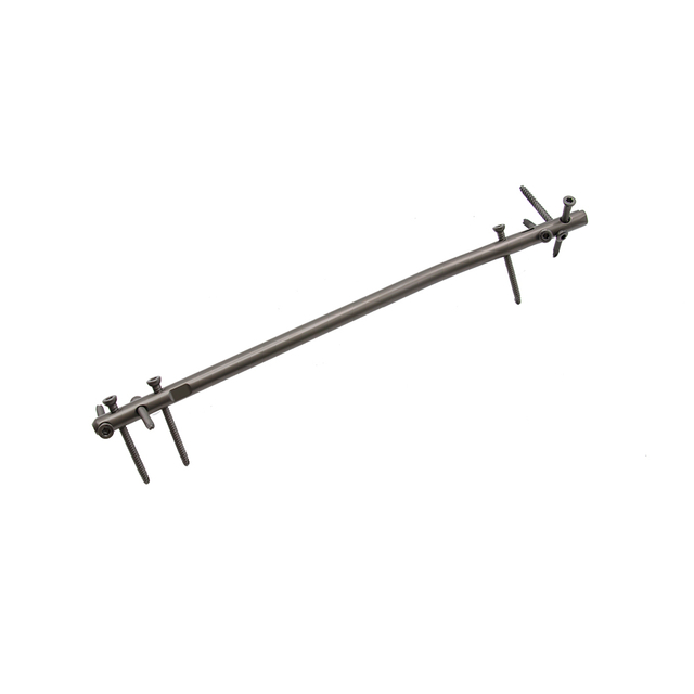 Paku Tibia Ahli