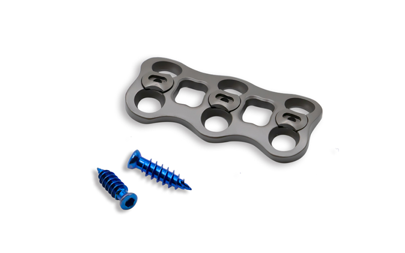 Sistem anterior-servis-plat