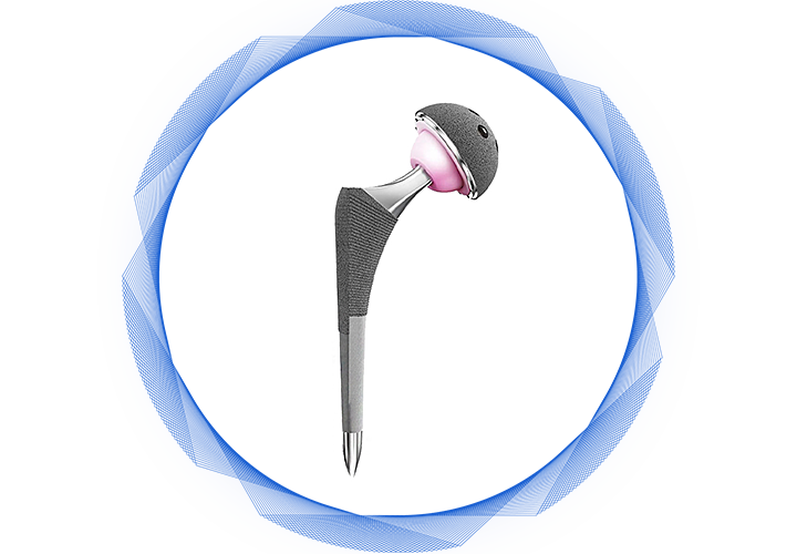 Hip-&-Prosthesis lutut