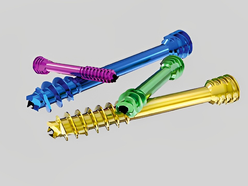 herbert screws