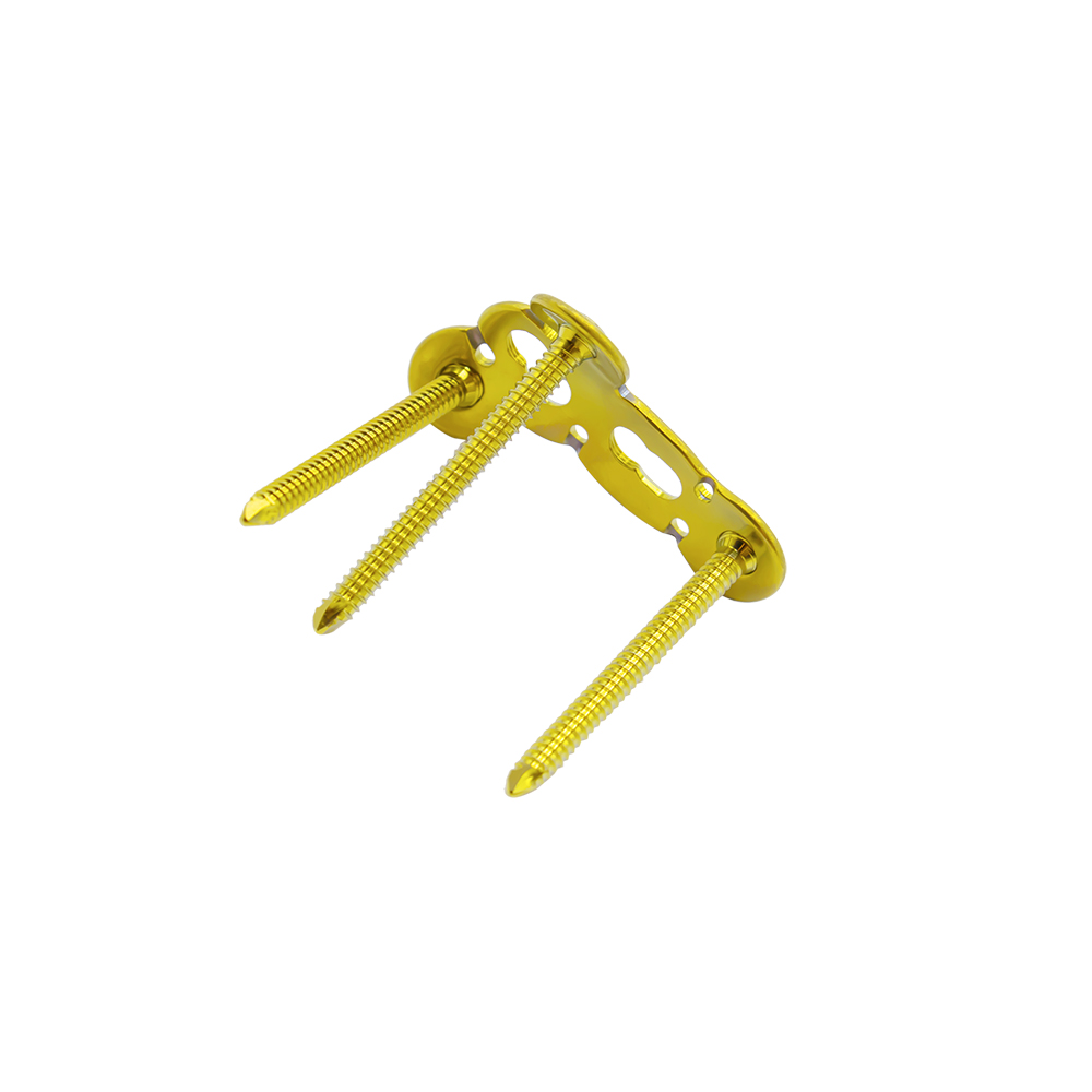 Proximal Humeral Greater Tuberosity Locking Plate