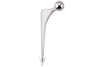 Cemented Primary Total Hip System