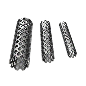 Titanium Mesh Cage