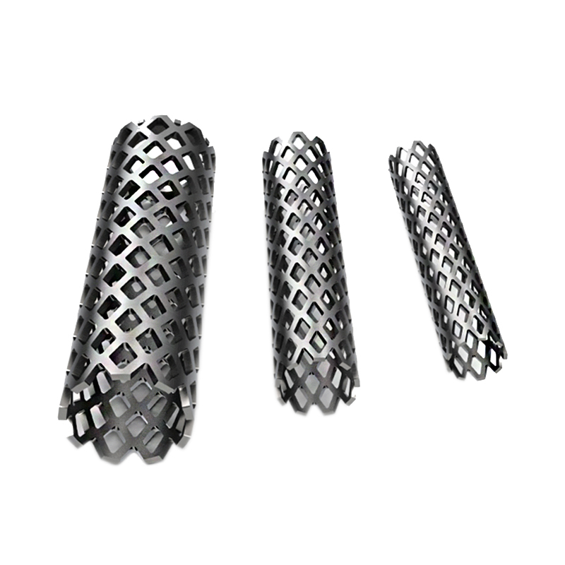 Titanium Mesh Cage