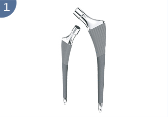 Prosthesis pinggul