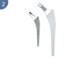 Prosthesis pinggul