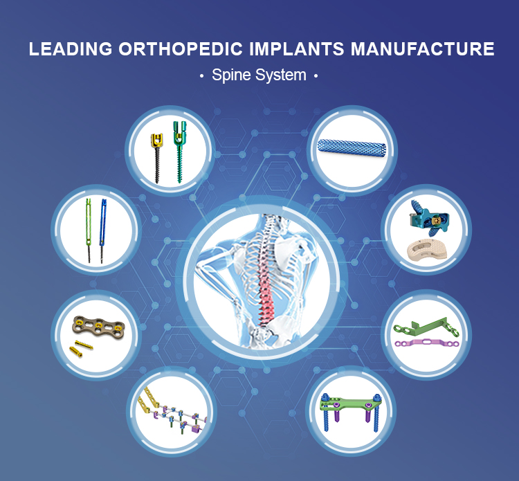 Spine system