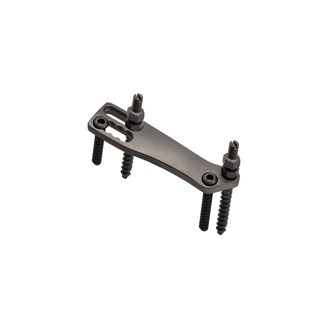 Sistem pelat toraks anterior