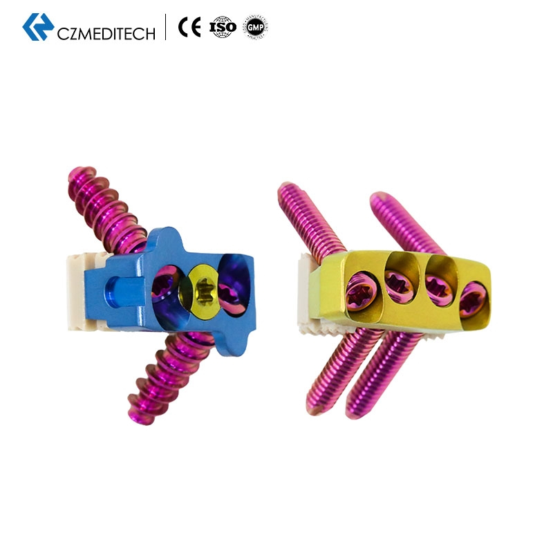 Cervical Peek Cage（2 or 4 Locking Screws）