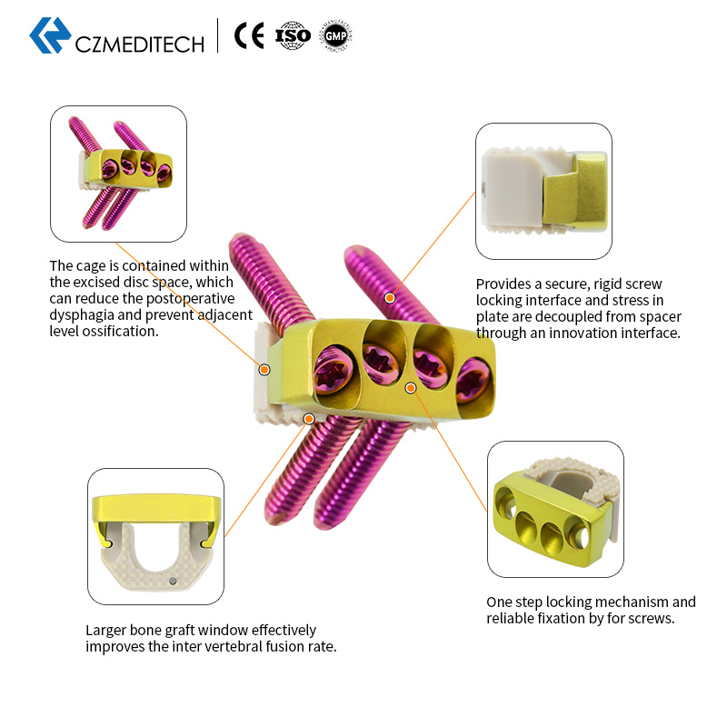 Cervical Peek Cage（2 or 4 Locking Screws）
